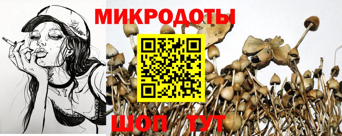 Галлюциногенные грибы ЛСД  Галлюциногенные грибы ЛСД  Туапсе  где продают наркотики  Вход с VPN 